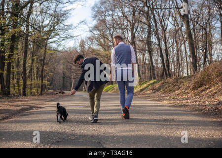 Vista posteriore, due gay uomo a camminare nella foresta, su strada asfaltata. Insieme tenendo le mani. Il loro cucciolo di cane a camminare con loro troppo vicino. Foto Stock