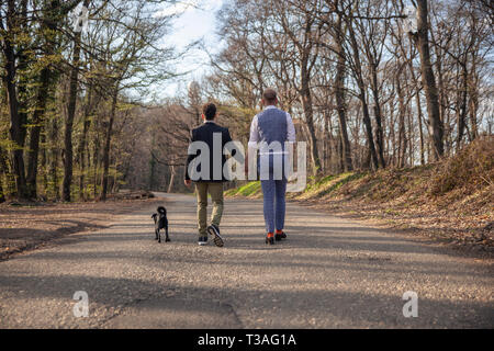 Vista posteriore, due gay uomo a camminare nella foresta, su strada asfaltata. Insieme tenendo le mani. Il loro cucciolo di cane a camminare con loro troppo vicino. Foto Stock