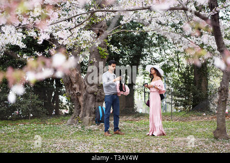 Washington, DC, Stati Uniti d'America. 7 apr, 2019. I visitatori di preparare per scattare fotografie presso il bacino di marea in Washington, DC, Stati Uniti, Aprile 7, 2019. Questo anno il blossoms ha raggiunto il picco del blumo nella prima settimana di aprile. Credito: Han Fang/Xinhua/Alamy Live News Foto Stock