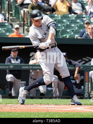 Baltimore, Stati Uniti d'America. 07 apr, 2019. New York Yankees diritto fielder Aaron giudice (99) pipistrelli nel primo inning contro i Baltimore Orioles a Rigogolo Park a Camden Yards a Baltimore, MD, domenica 7 aprile 2019. Credito: Ron Sachs/CNP (restrizione: NO New York o New Jersey o giornali quotidiani nel raggio di 75 miglia da New York City) | utilizzo del credito in tutto il mondo: dpa/Alamy Live News Foto Stock