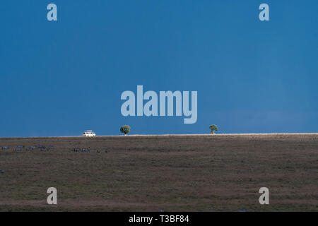 Bel viaggio nel Maasai Mara triangolo al tramonto Foto Stock