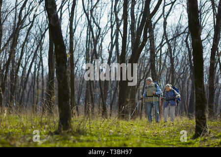 Giovani nel cuore. Famiglia di età matura di un uomo e di una donna in costume turistiche a piedi a prato verde vicino da alberi in giornata soleggiata. Concetto di turismo, uno stile di vita sano, relax e stare insieme. Foto Stock