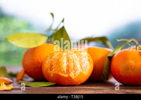 Il gruppo di quattro intere fresche arancione mandarine con foglie verdi un frutto è la metà di pelati in una giungla di nebbia montagne Foto Stock