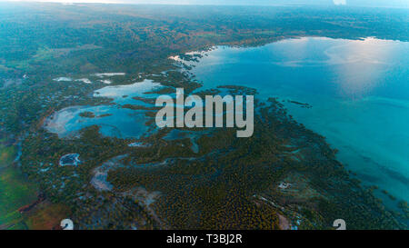 Swamp, mafia island Foto Stock