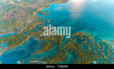 Swamp, mafia island Foto Stock