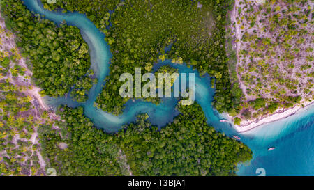 Mangroove palude a Kanga beach, mafia island Foto Stock