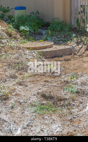 Scarichi traboccante su strade pubbliche è la prova delle infrastrutture municipali collassare a causa di nessuna manutenzione immagine in formato ritratto con spazio di copia Foto Stock