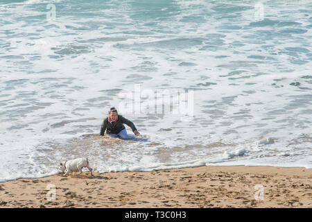 Un dog walker la caduta in mare su Fistral Beach in Newquay in Cornovaglia. Foto Stock