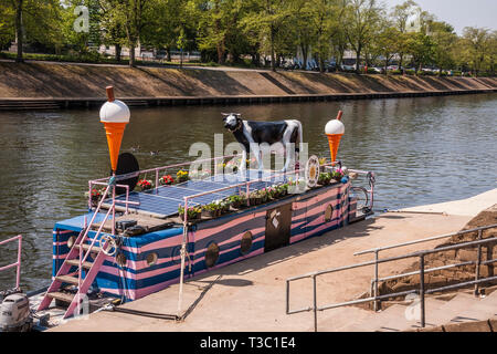 La piena Moo ice cream boat ormeggiato sulle rive del fiume Ouse in York,l'Inghilterra,UK Foto Stock