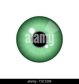 Realistico occhio umano su sfondo bianco Illustrazione Vettoriale