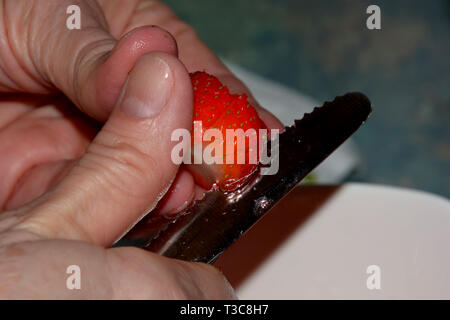Lavate il dolce fragola è tagliata con un coltello per frutta da una donna dettaglio shot, naturalmente ben curato womens mani tagliate appena lavate le fragole in sma Foto Stock