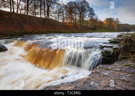 Un autunno vista di Aysgarth cade nel Yorkshire Dales National Park, Inghilterra Foto Stock