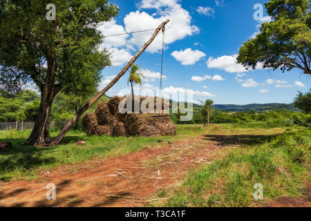 Semplice dispositivo di gru per caricare la canna da zucchero sui carrelli in Paraguay. Foto Stock