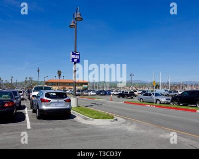 Veicoli parcheggiati nel porto grande partita della marina, Ventura, California, Stati Uniti d'America. Foto Stock