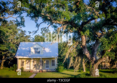 Muschio spagnolo pende dagli alberi di fronte a una casa sulla Shell cintura in strada il Bayou La Batre, Alabama. Foto Stock