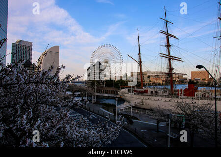 YOKOHAMA, Giappone - 05 Aprile 2019: nave a vela Nippon Maru a Minato Mirai area balneare nella città di Yokohama, nella prefettura di Kanagawa, Giappone. Foto Stock