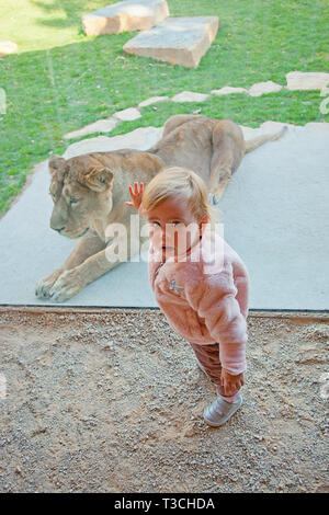 Ragazza giovane e la leonessa a Lubiana Zoo Foto Stock