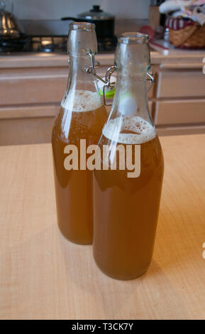 Questa scena di cucina è di 2 bottiglie in vetro non sigillati di prodotti finiti in casa al Kombucha. Questo fatto fermentare bibita salutare è schiuma di carbonatazione in testa Foto Stock