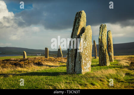 Parte dell'anello di Brodgar neolitico stone circle, Continentale, Orkney Foto Stock