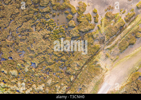 Fotografia aerea del Waddenzee paludi in Danimarca Foto Stock