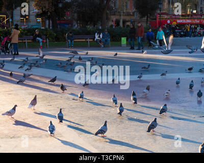 Plaça Catalunya a Barcellona Foto Stock