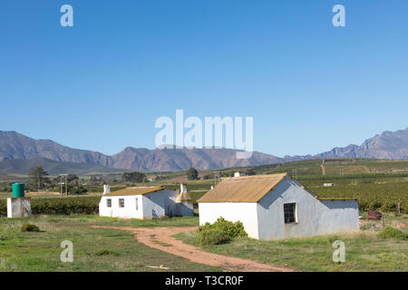 I lavoratori agricoli agriturismi con piscina all'aperto per le abluzioni in Robertson Wine Valley con Langeberg Mountains, Klaasvoogds, Western Cape Winelands, Sud Africa Foto Stock