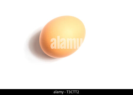 Uovo su sfondo bianco Foto Stock