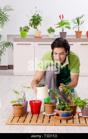 Giovane maschio giardiniere con piante in ambienti interni Foto Stock