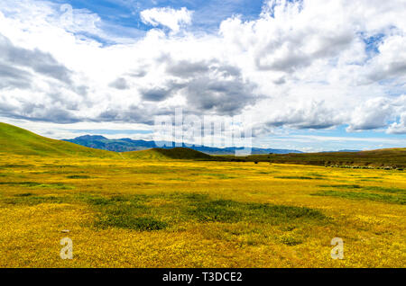 Superbloom in California centrale di Diablo Mountain Range primavera 2019 STATI UNITI D'AMERICA Foto Stock