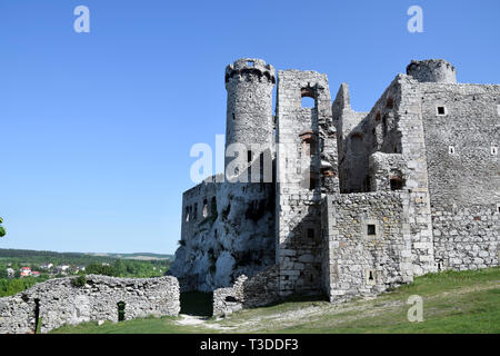 Rovine del Castello di Ogrodzieniec, 'Trail di l'Aquila nidi', Polonia. Foto Stock