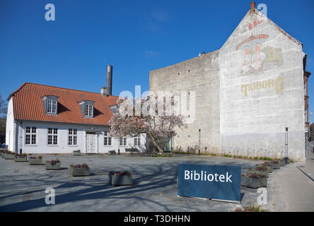 Blooming albero di magnolia di fronte Lyngby Biblioteca e Libreria Cafe edificio. Vecchio, debolmente rosse di Tuborg birra annuncio sulla parete dell'edificio adiacente. Foto Stock