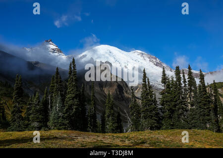 La mattina presto luce sul vertice della cima del monte Rainier a Washington. Guardando verso l'alto la montagna da Summerland accampamento lungo il Sentiero delle meraviglie. Foto Stock