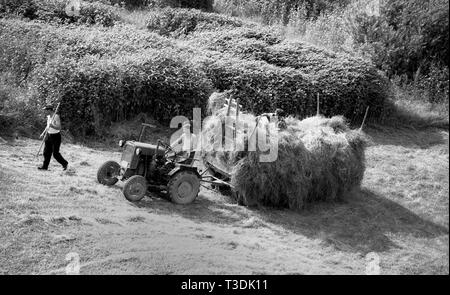 Gli agricoltori rendendo il fieno raccolto degli anni cinquanta Foto Stock