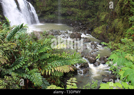 Il fondo delle tre orsi Falls, noto anche come Waikani superiore scende, cascata in una piscina di acqua e precipitando a valle in Haiku, Maui, STATI UNITI D'AMERICA Foto Stock