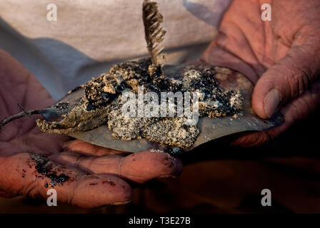 Un pescatore mantiene le foglie e le penne degli uccelli contemplati in un olio-come sostanza vicino la spiaggia pubblica sul west end di Dauphin Island, Alabama. Foto Stock