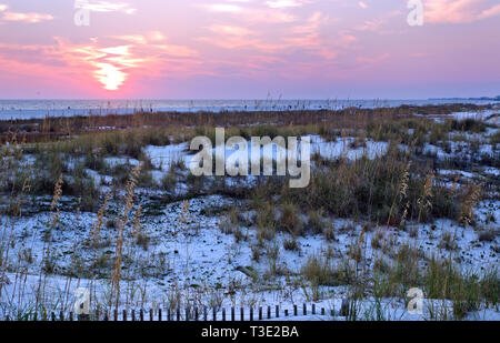 Il sole tramonta su dune di sabbia e avena di mare (Uniola paniculata) piantati per il controllo dell'erosione a Dauphin Island, Alabama. Foto Stock