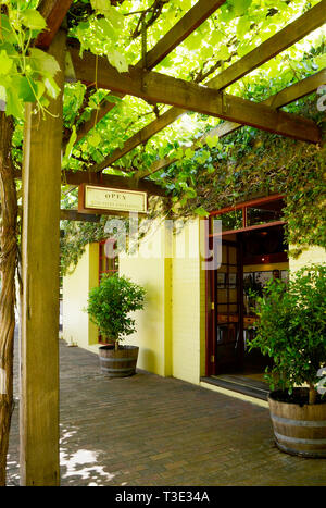 Aperto per le vendite del vino e segni di degustazione in cantina caratteristico ingresso coperte di vigneti. Foto Stock