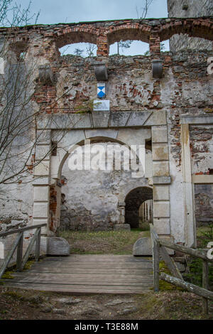 Burgruine (castello di rovina) Lichtenfels, Ottensteiner Stausee, Zwettl, Austria Foto Stock