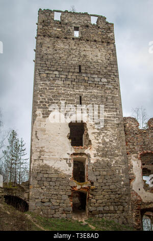 Burgruine (castello di rovina) Lichtenfels, Ottensteiner Stausee, Zwettl, Austria Foto Stock