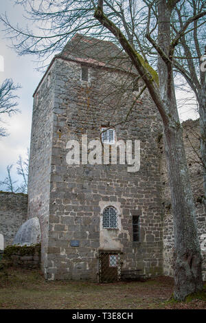 Burgruine (castello di rovina) Lichtenfels, Ottensteiner Stausee, Zwettl, Austria Foto Stock