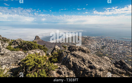 Vista panoramica di Cape Town, testa di leone e Signal Hill dalla cima della montagna della tavola. Foto Stock