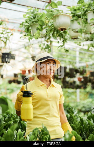 Donna che lavorano in serra Foto Stock