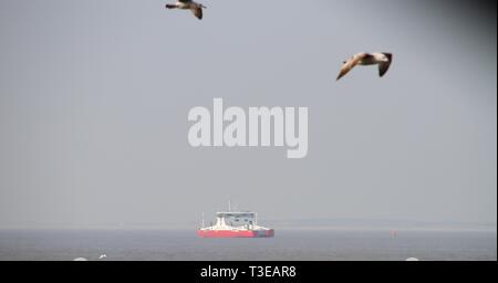 MV Red gheppio lascia Cammell Lairds oggi sul percorso a Southampton dove lei entrerà int in servizio nel maggio Foto Stock