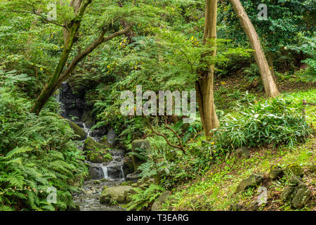 Bellissimo giardino Sankeien con alberi e cascata a Yokohama, Giappone, sullo sfondo della natura Foto Stock