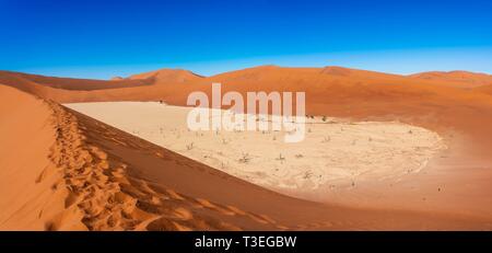 Deadvlei, Sossusvlei è un sale e pan di argilla circondata da alte dune rosse, situato nel deserto del Namib, il Namib-Naukluft National Park, Namibia. Foto Stock