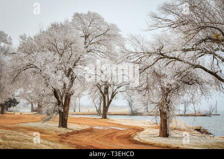 Brina sulle rive del lago di Hefner in Oklahoma City, OK, STATI UNITI D'AMERICA Foto Stock