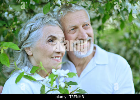 Il sambuco matura in posa su sfondo di fiori Foto Stock