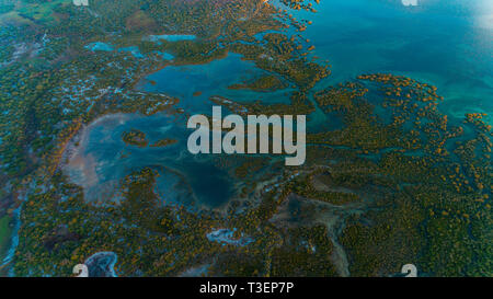 Swamp, mafia island Foto Stock