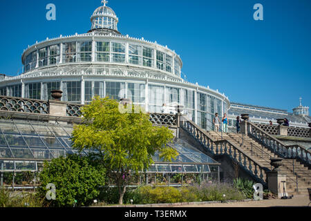 La Casa delle Palme di Copenhagen Giardino Botanico Foto Stock