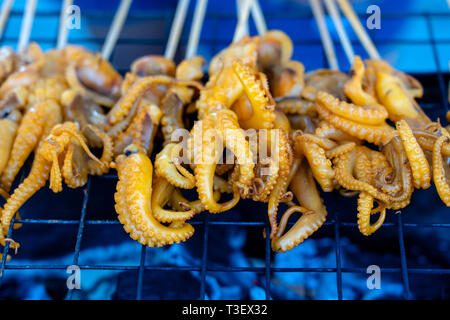 Calamari alla griglia per vendere a street market alimentare nell isola di Koh Phangan, della Thailandia . Cucina thailandese, close up Foto Stock